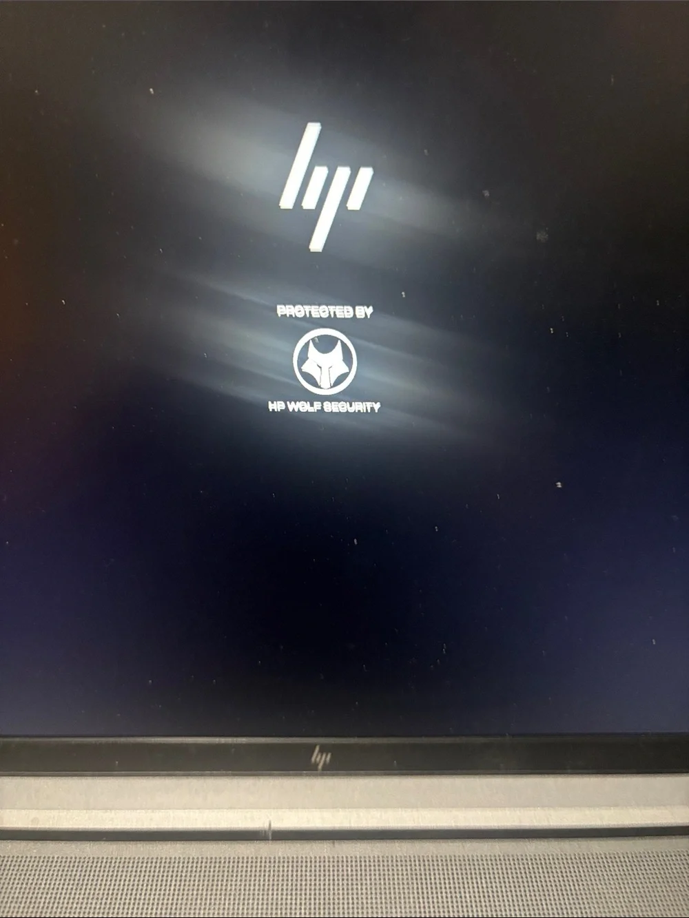 HP Laptop System Info Screen — White and Gray Interface